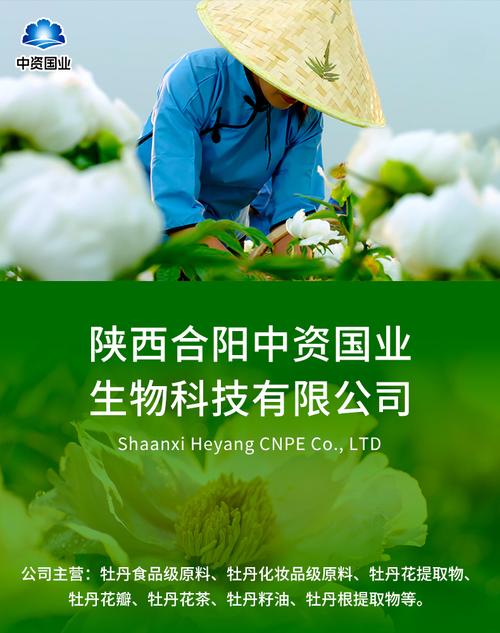 中资国业与四川中阳投资 协同合作推动区域经济发展的新典范